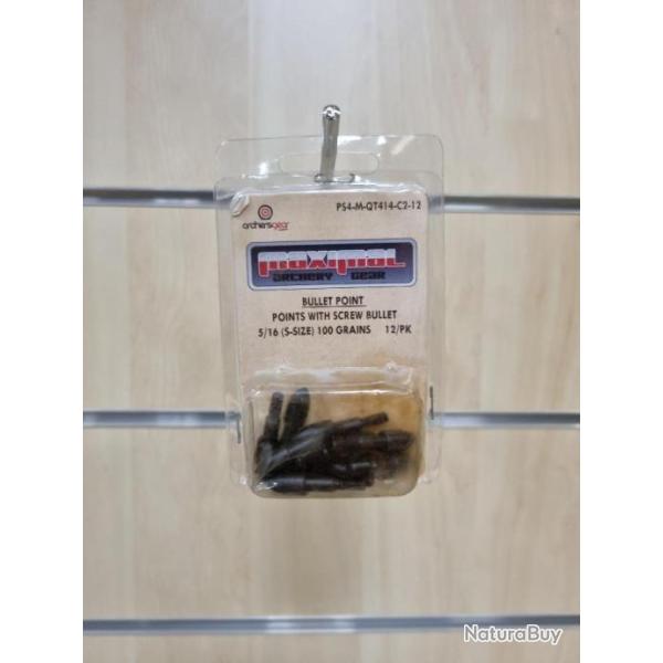 Pointe � viser Bullet point Maximal 5/16 100gr