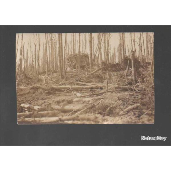 bunker dans foret d�vast�e carte photo non situ�e