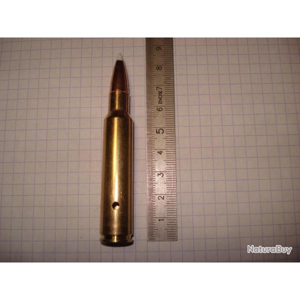 une cartouche de 338 blaser magnum,neutralis�e, percut�e, perc�e marque norma, ogive nosler accubond