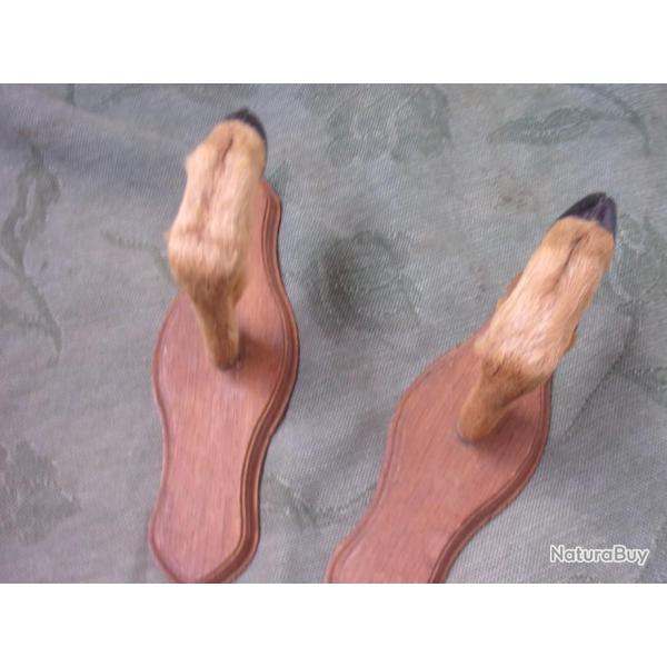 porte-fusil pour un fusil ou une carabine