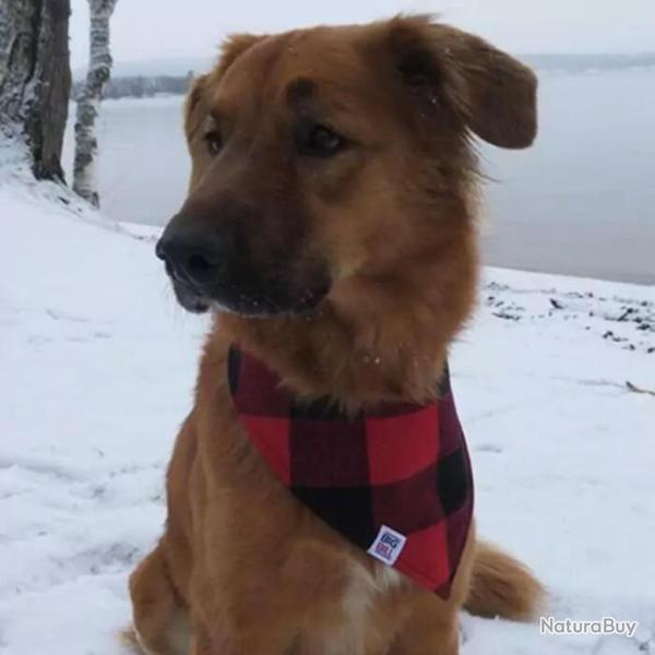 Bandeau BIG BILL� pour Chien en flannelle - DOGBB/384