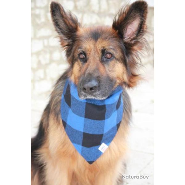 Bandeau BIG BILL� pour Chien en flannelle - DOGBB/385