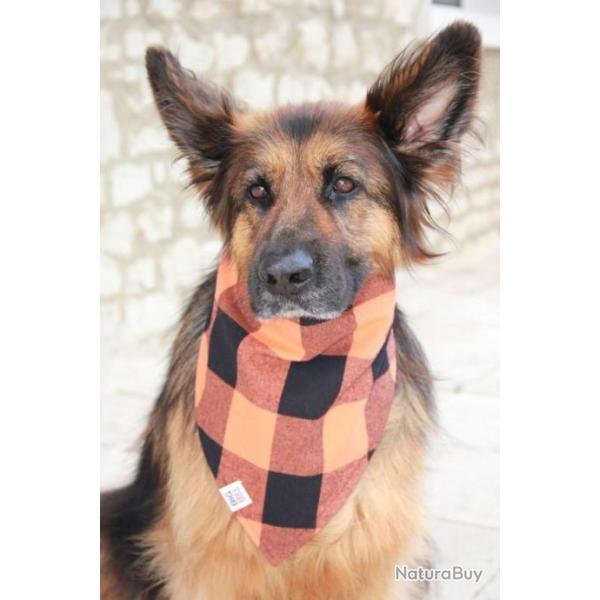 Bandeau BIG BILL� pour Chien en flannelle - DOGBB/ORA