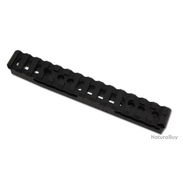 Dlask Arms Corp. Rail pour Ruger 10/22