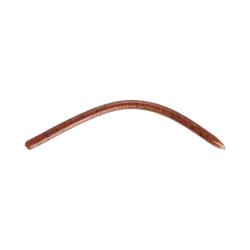 Leurre Souple Reins Swamp Junior 12,5cm 12,5cm par 20 007 - Ebimiso SP