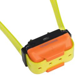 Collier suppl&eacute;mentaire de dressage Num'axes Canicom R jaune