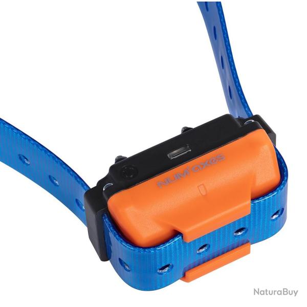Collier suppl�mentaire de dressage Num'axes Canicom R bleu