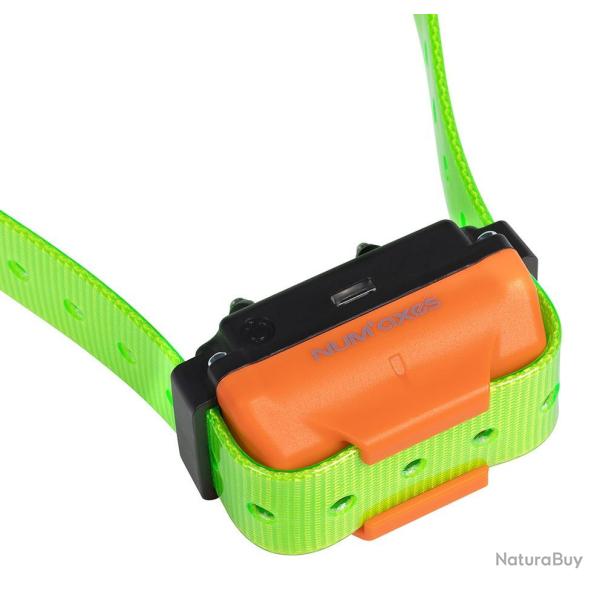 Collier suppl�mentaire de dressage Num'axes Canicom R vert fluo
