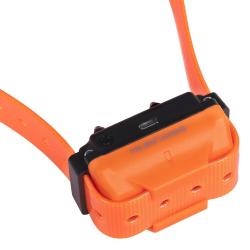Collier suppl&eacute;mentaire de dressage Num'axes Canicom R orange