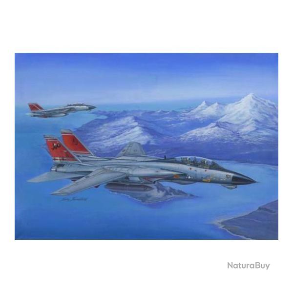 Maquette  monter - F-14D Super tomcat 1/48 | Hobby boss (0000 3317)