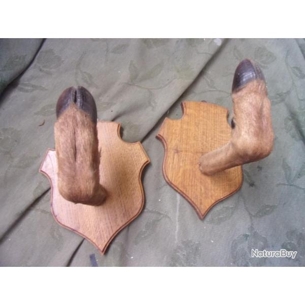 ratelier ou porte-fusil en patte