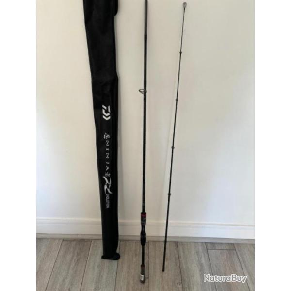 Canne Daiwa Spinning 2,24 m 20-80 gr