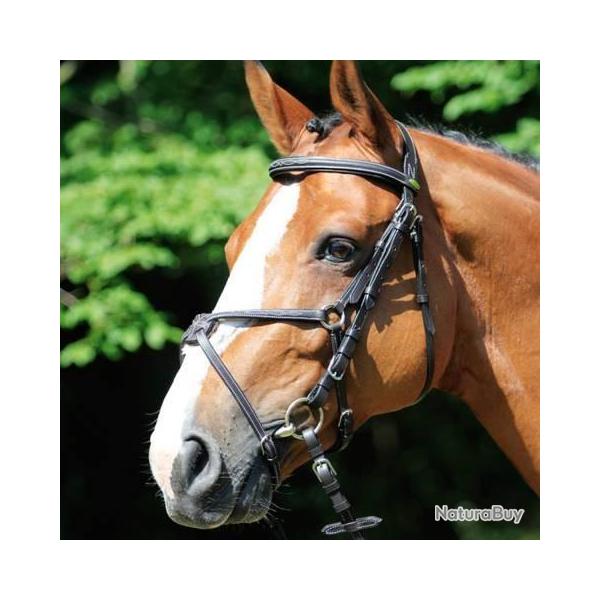 BRIDON Equitation  ALBA (CHEVAL -PROTANNER)