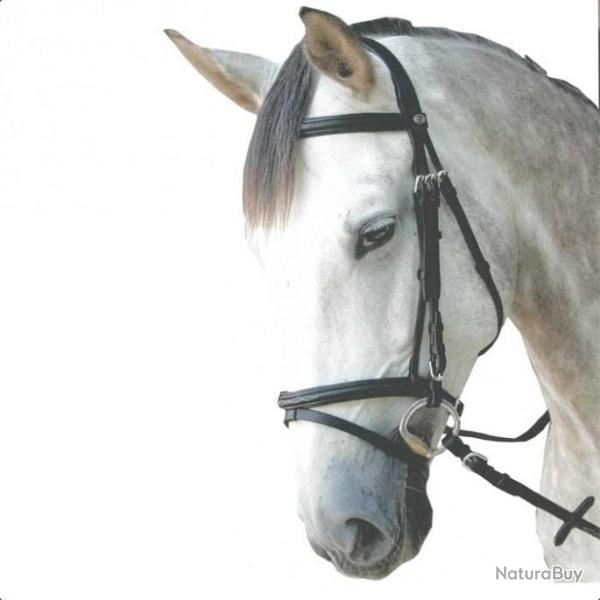 BRIDON Equitation  ROYAN (CHEVAL -PROTANNER)