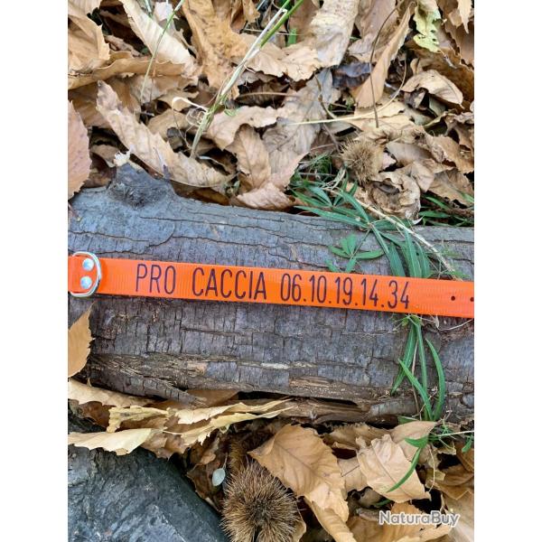 Collier chien GRAV� PERSONNALIS� - 60x2,5cm Blanc, Sur 2 lignes