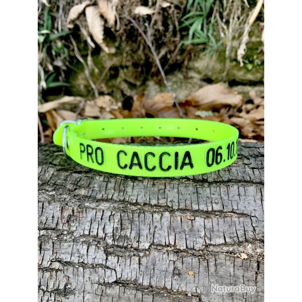 Collier chien GRAV� PERSONNALIS� - 45x1,9cm Vert