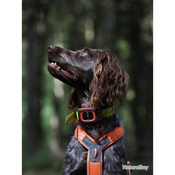 Balise MINIFINDER REX