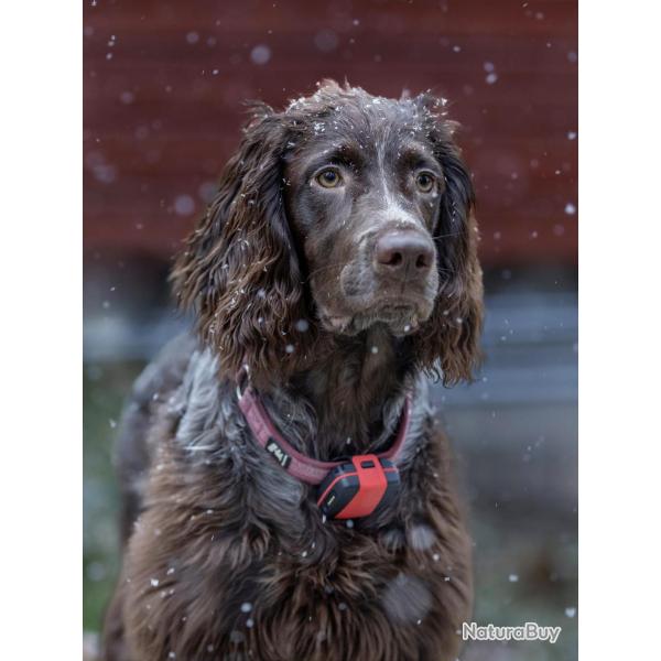 Balise TRACKER ACTIVE 2G