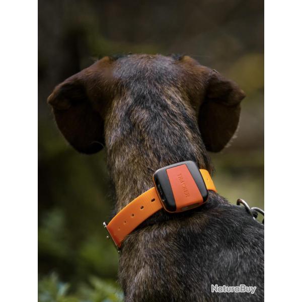 Balise TRACKER BARK 4G