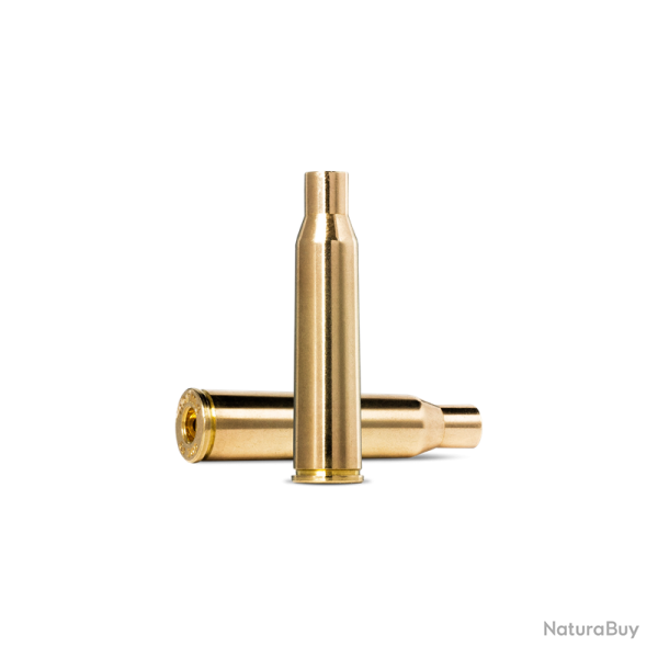 100 DOUILLES NORMA CAL 6.5 JAP / 6,5 X 51 R (ARISAKA) 500