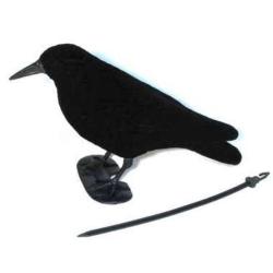 Appelant Corbeau simple plastique 1