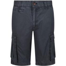 Short Regatta Shorebay Short gris