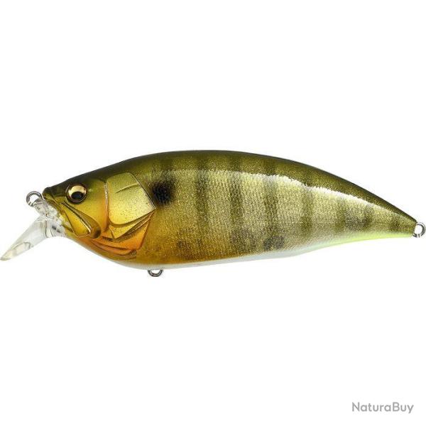 Leurre MEGABASS BIG M 2.0 GLX GALAXY GILL
