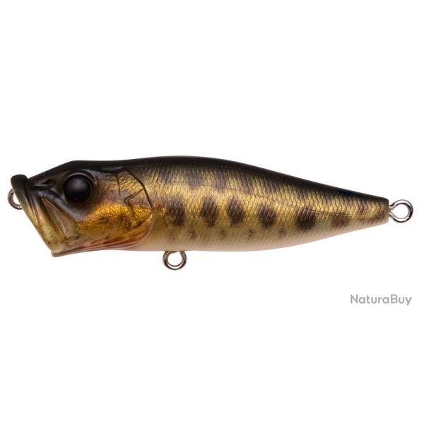 Leurre MEGABASS Pop X FA BABY RAIGYO