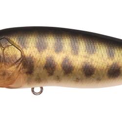 Leurre MEGABASS Pop Max FA BABY RAIGYO