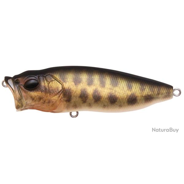 Leurre MEGABASS Pop Max FA BABY RAIGYO