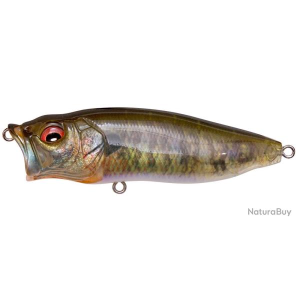 Leurre MEGABASS Pop Max FA GILL