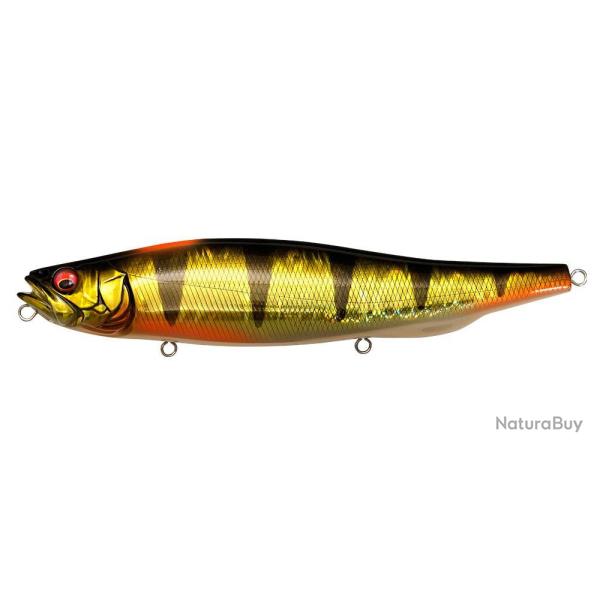Leurre MEGABASS MEGADOG X GG INDICATOR PERCH