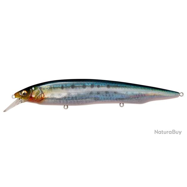 Leurre MEGABASS Kanata SW FA IWASHI