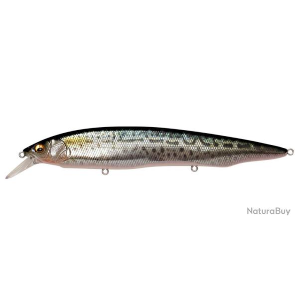 Leurre MEGABASS Kanata SW FA SABA