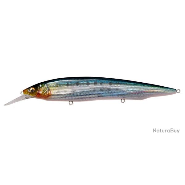Leurre MEGABASS Kanata +1 SW FA IWASHI