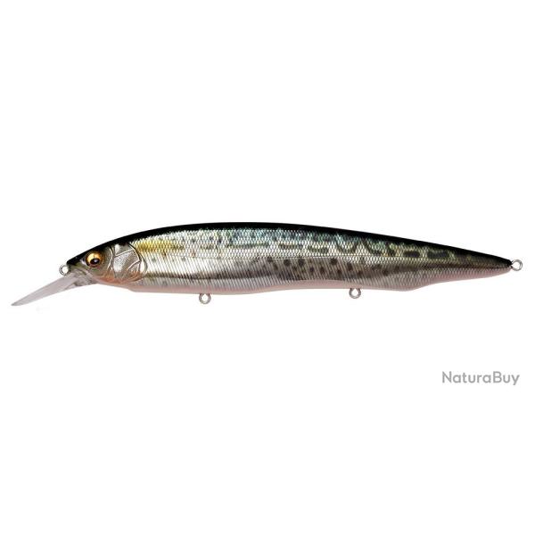 Leurre MEGABASS Kanata +1 SW FA SABA