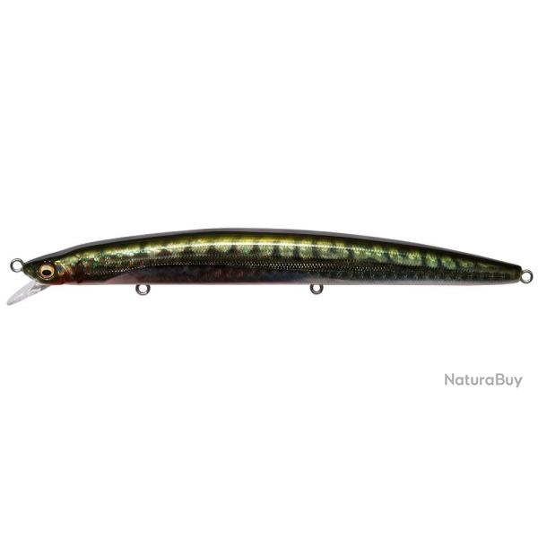 Leurre MEGABASS Marine Gang Cookai Slim 140 F FA GREEN MACKEREL