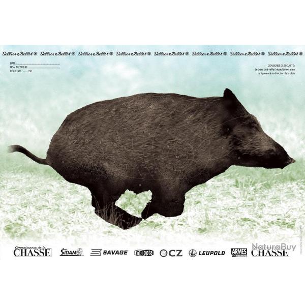 Cible Sanglier courant Sidam Couleur / Droit - Couleur / Droit