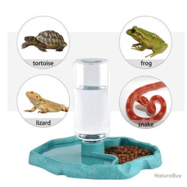 Distributeur d'eau pour Reptile Abreuvoir Tortue Mangeoire pour Reptiles