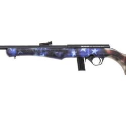 Carabine 22 Lr &agrave; verrou - ROSSI mod&egrave;le 8122 USA