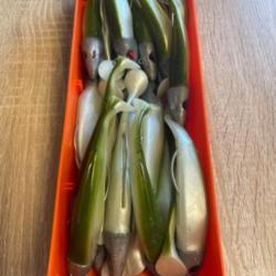 Leurre souple monté Delalande vert swat Shad 11cm 40g