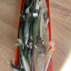 Leurre souple monté Delalande blanc et vert swat Shad 9cm 10gr