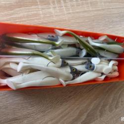 Leurre souple monté Delalande blanc et vert simples swat Shad 9cm 10gr