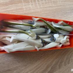 Leurre souple mont&eacute; Delalande blanc et vert simples swat Shad 9cm 10gr