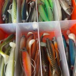 Leurre souple mont&eacute; Delalande 9cm 7g swat shad