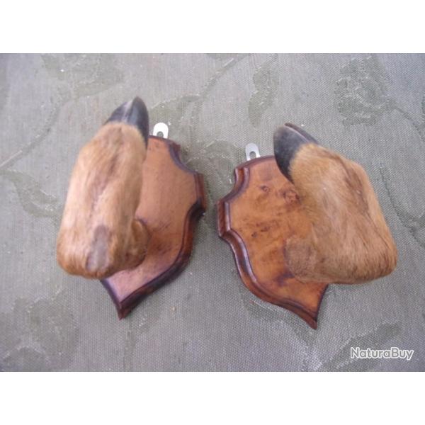 porte carabine , ratelier 1 arme