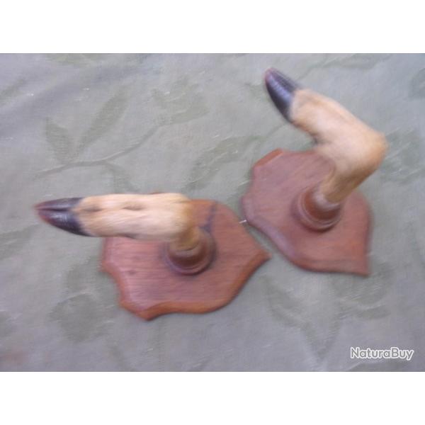 porte carabine , ratelier pour une arme