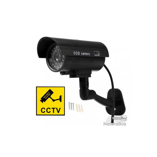 camra factice scurit  la maison