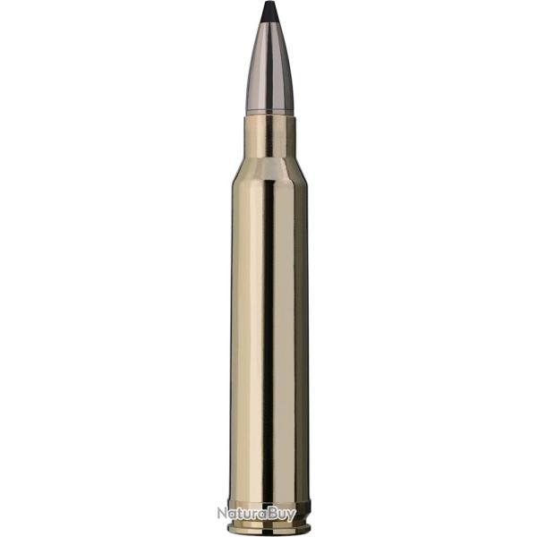 RWS .300 WIN. MAG. SPEED TIP PRO 10,7G