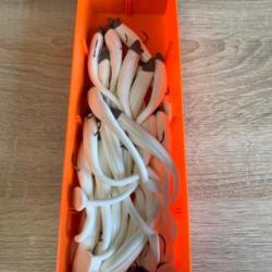 Leurre souple mont&eacute; Delalande blanc 12cm 10gr speed slim